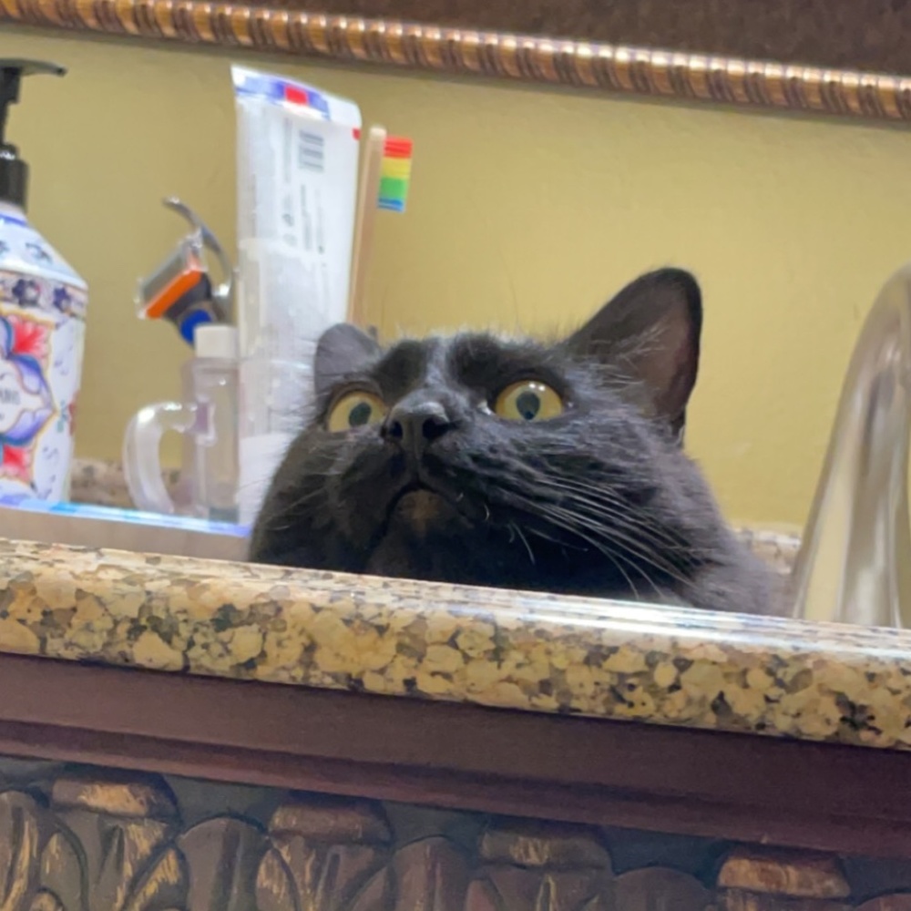 hey! - Picture 2 of 2